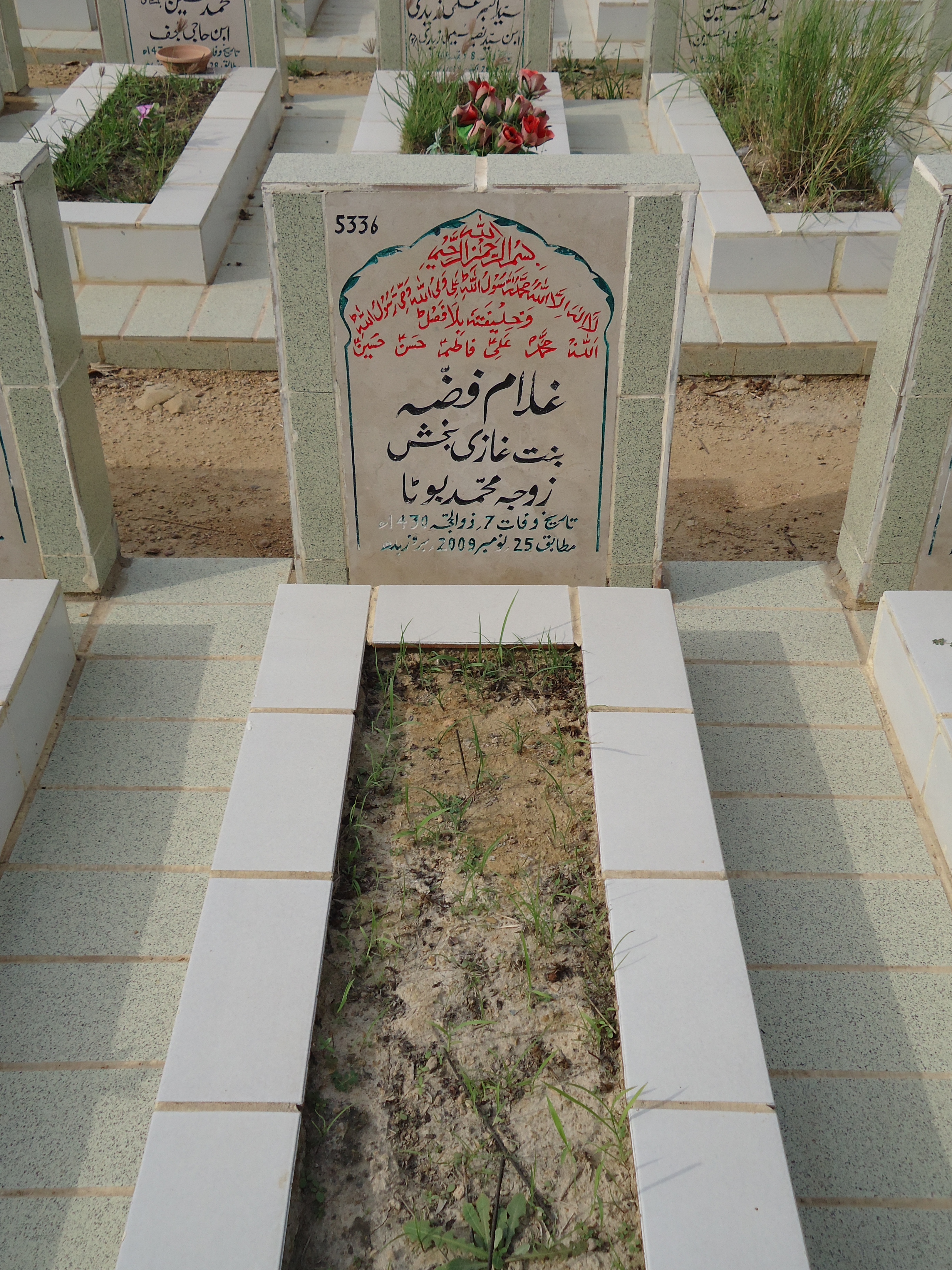 5336 – Ghulam Fizza